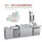 BZS Semi- automatic bullet shape mould suppository filling sealing machine supplier