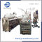 Alu-Alu Shell Mechanical Work Suppository Form Fill Seal Machine with Moulds  (ZS-U) supplier